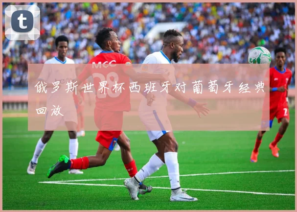 俄罗斯世界杯西班牙对葡萄牙经典回放