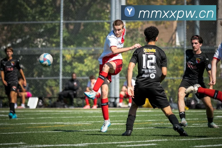 华体app登录入口 - 华体huati(中国)APP 封面图